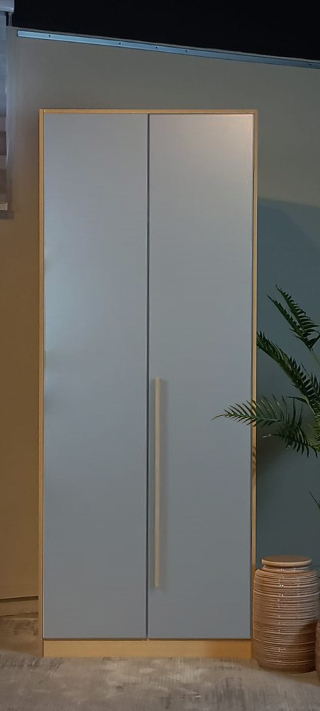 ZC88_2 TWO DOOR WARDROBE 829X550X2100MM DARK