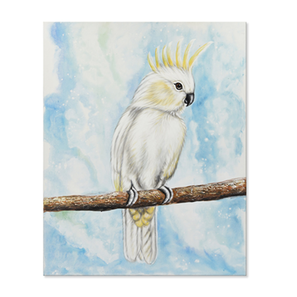2B209 CORELLA IN YELLOW PAINTING 80*100