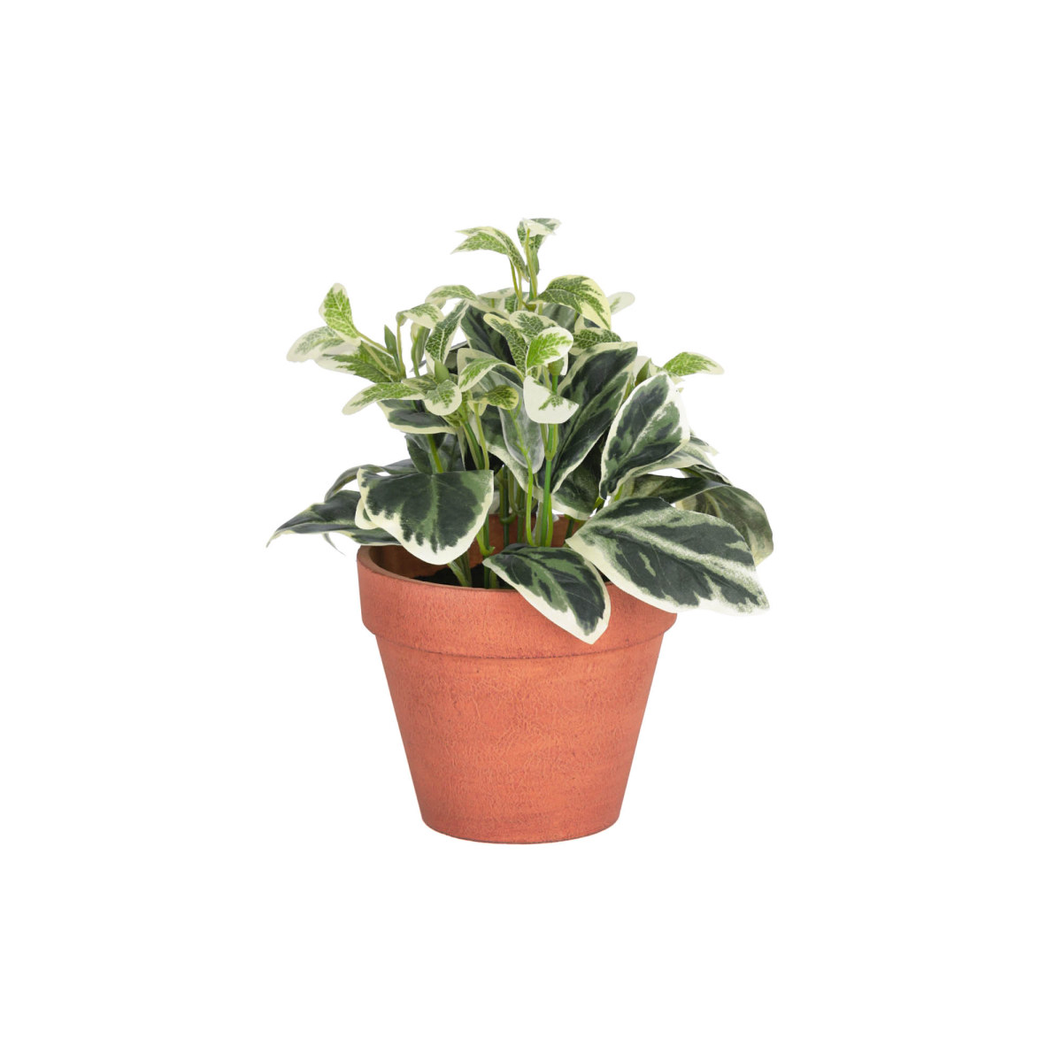 Aucuba artificial plant