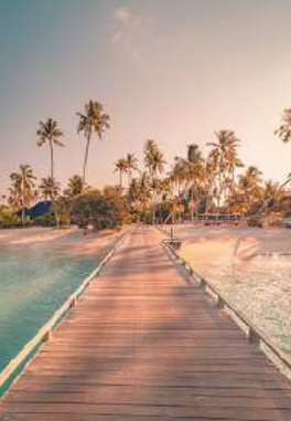 81816 Toiles classiques imprimÃ©es avec encadrement BLANC 60X90