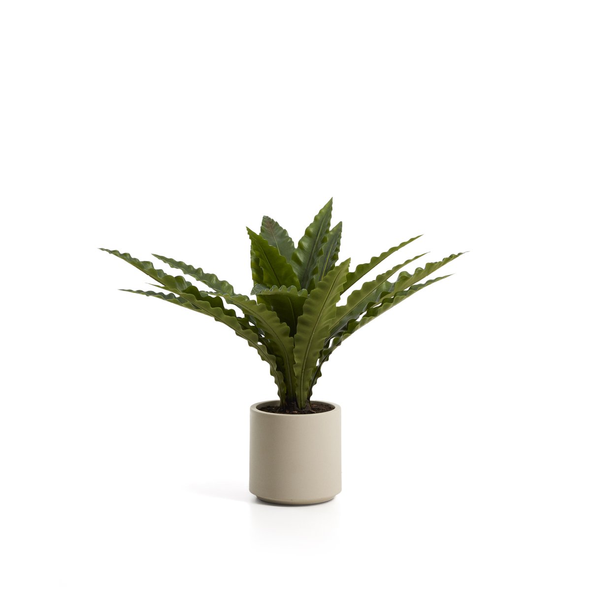 Artificial Neottopteris plant with white pot 70cm