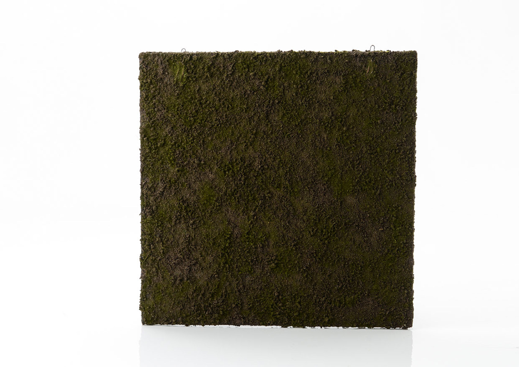 SQUARE MURAL MOUSSE 100X100VE