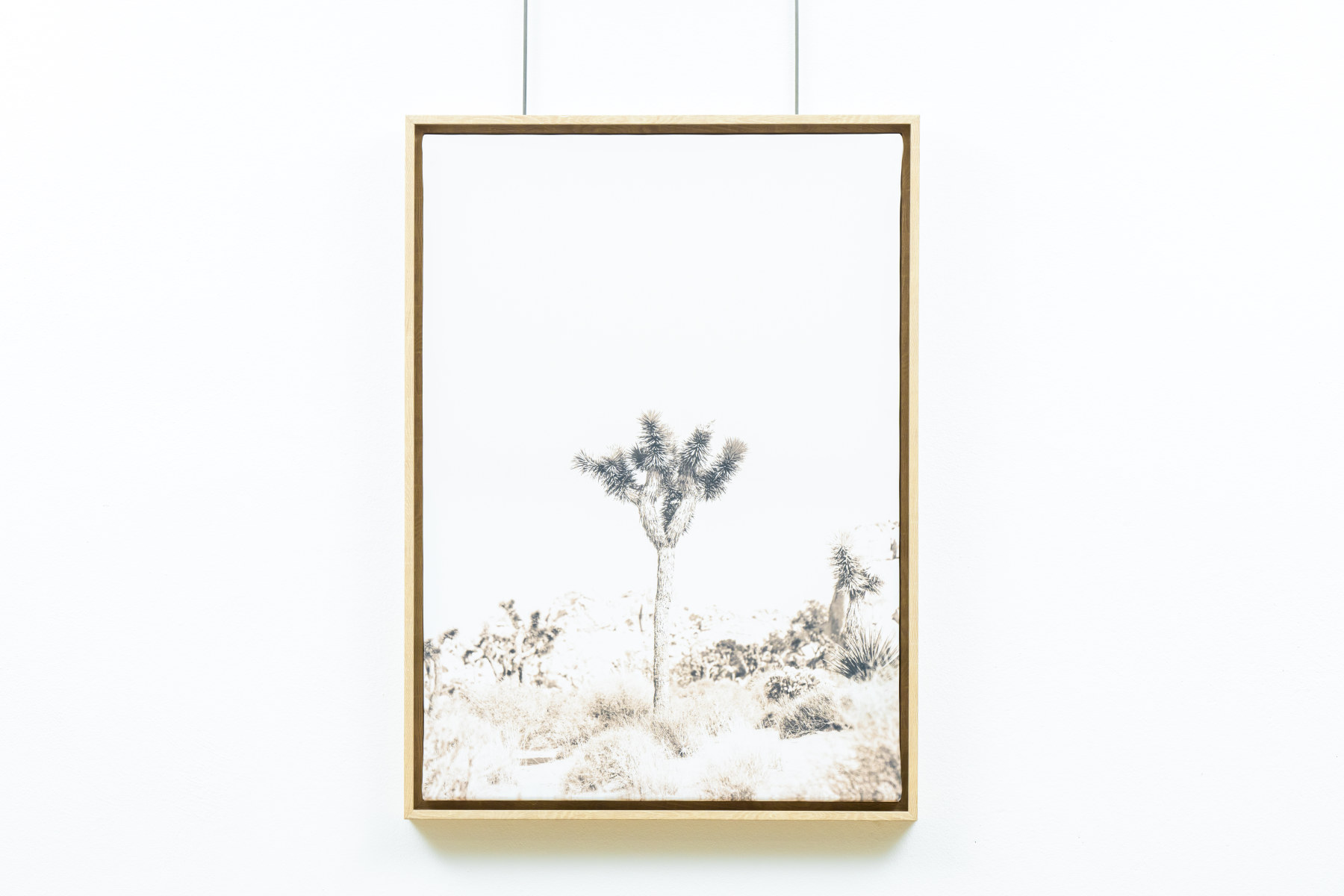 Toile Avec caisse américaine 50x70 cm