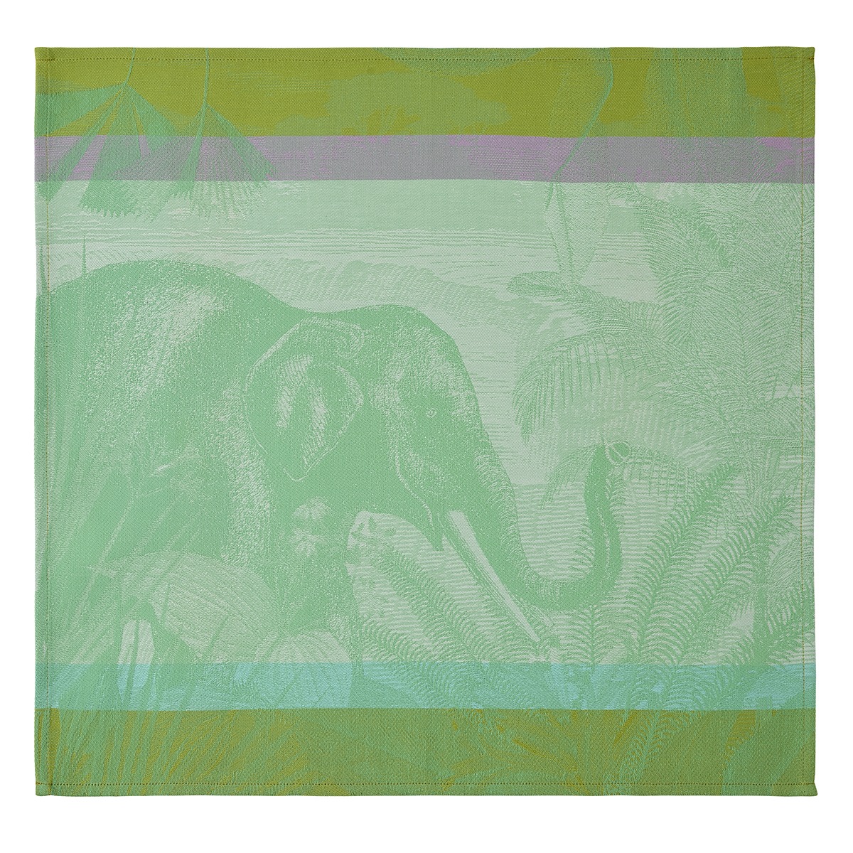SVTE 50X50 SINHARAJA JUNGLE