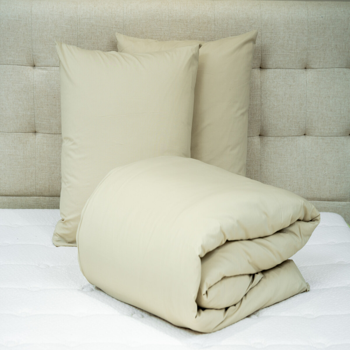 VENEZIA SET DUVET COVER LIN 94X87 +2 PILLOW 26X26 - 240X220 CM