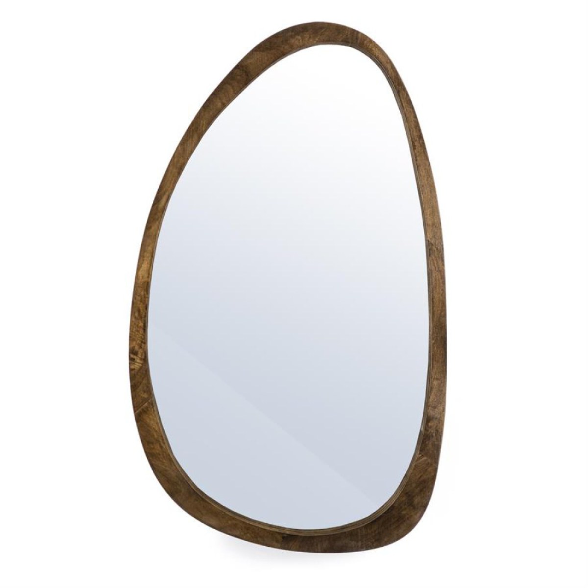 Plecto _ brown