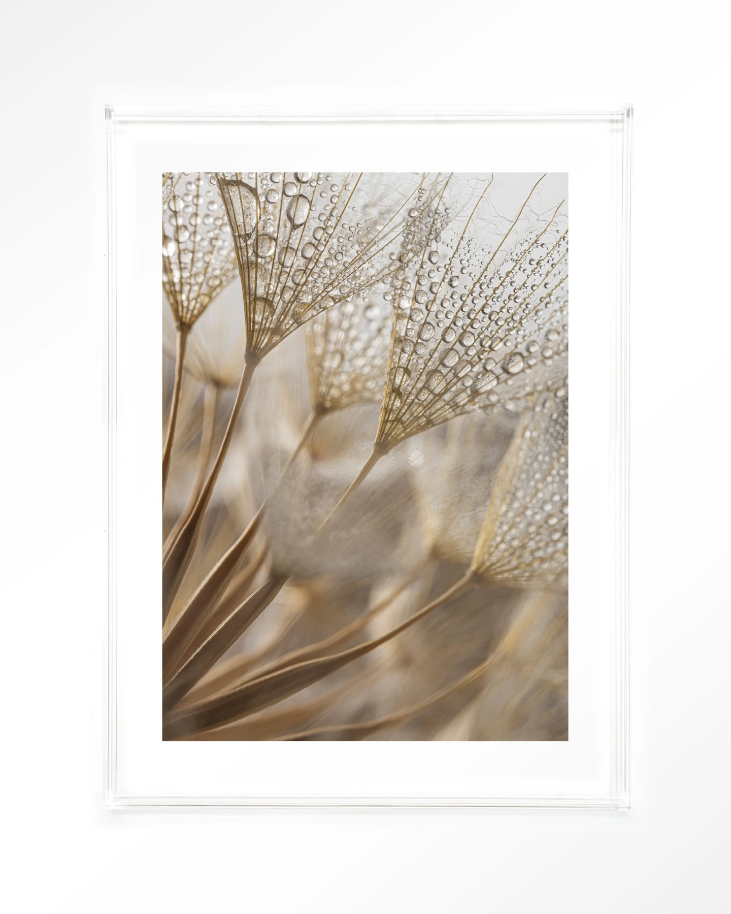 Natuurlijke Abstractie frame 50x70 cm - clear