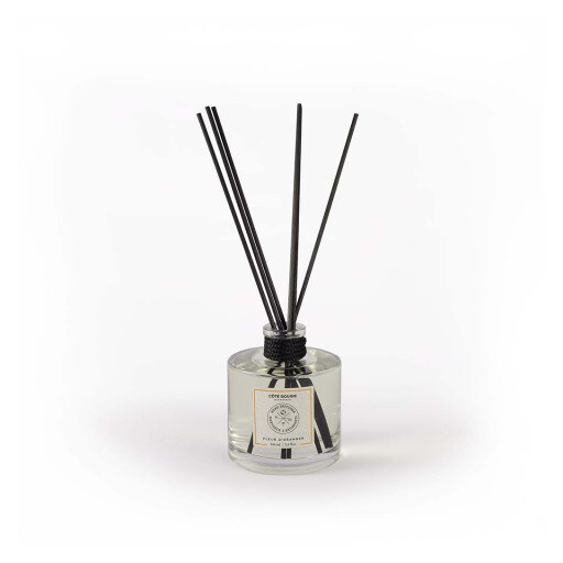 DIFFUSEUR A BATONNET 100ML PLACES DES EPICES