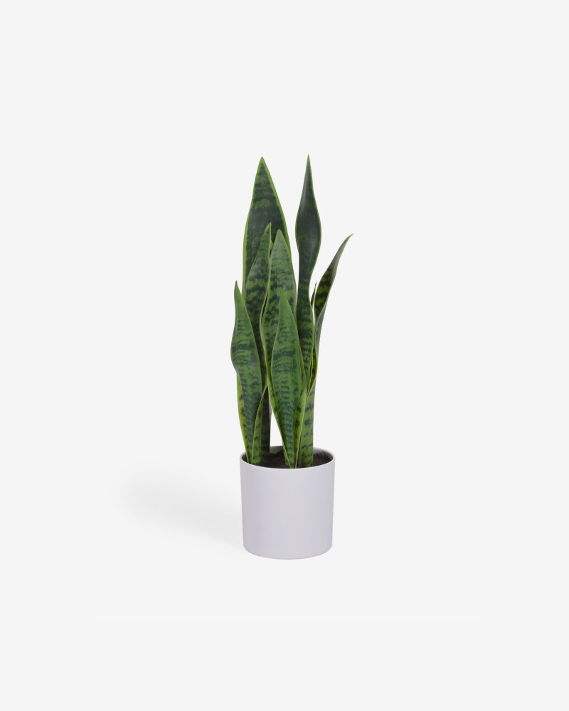 Artificial Sansevieria with white plantpot 55 cm