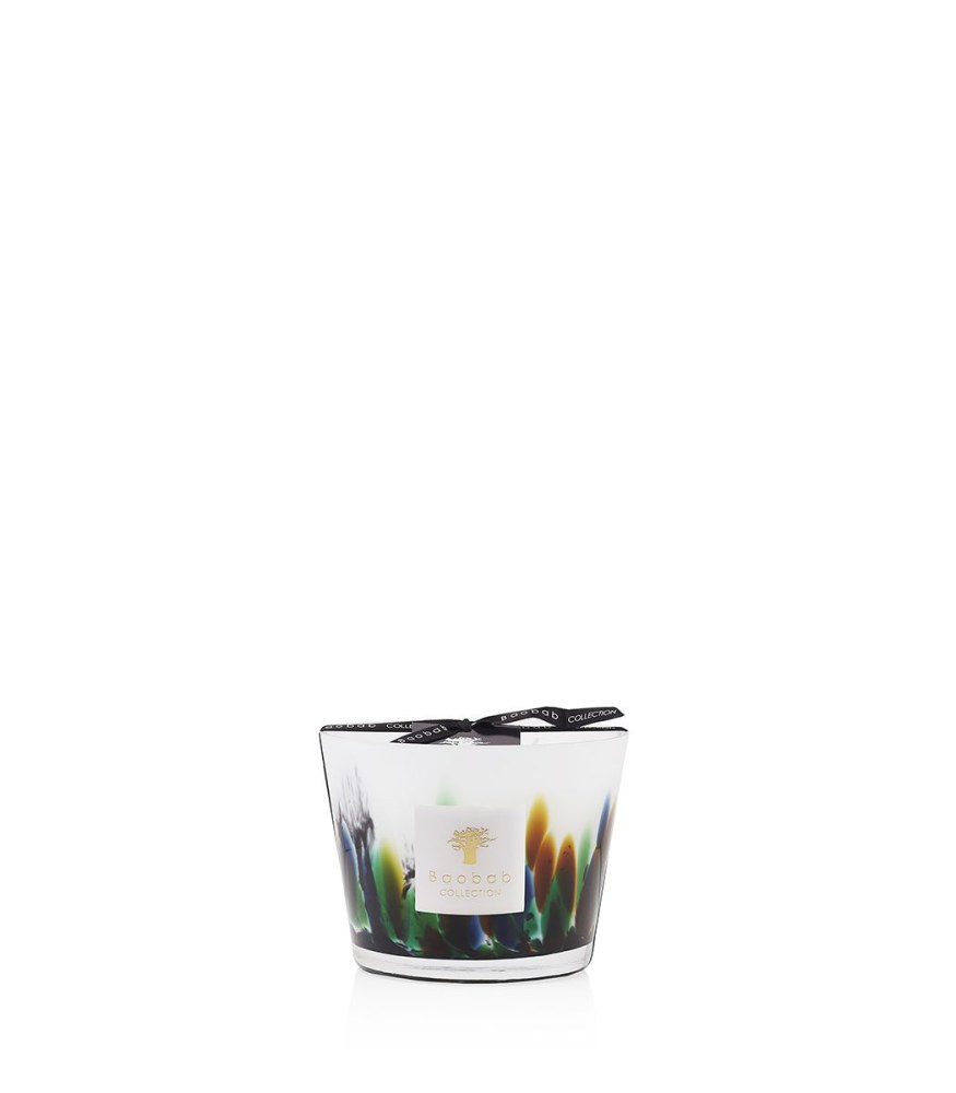 Baobab Collection Max 10 Rainforest Amazonia