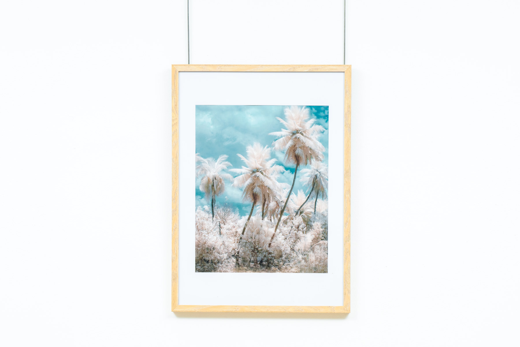 IMAGE ENCADREE 50X70 TTE 56618 CADRE NATUREL