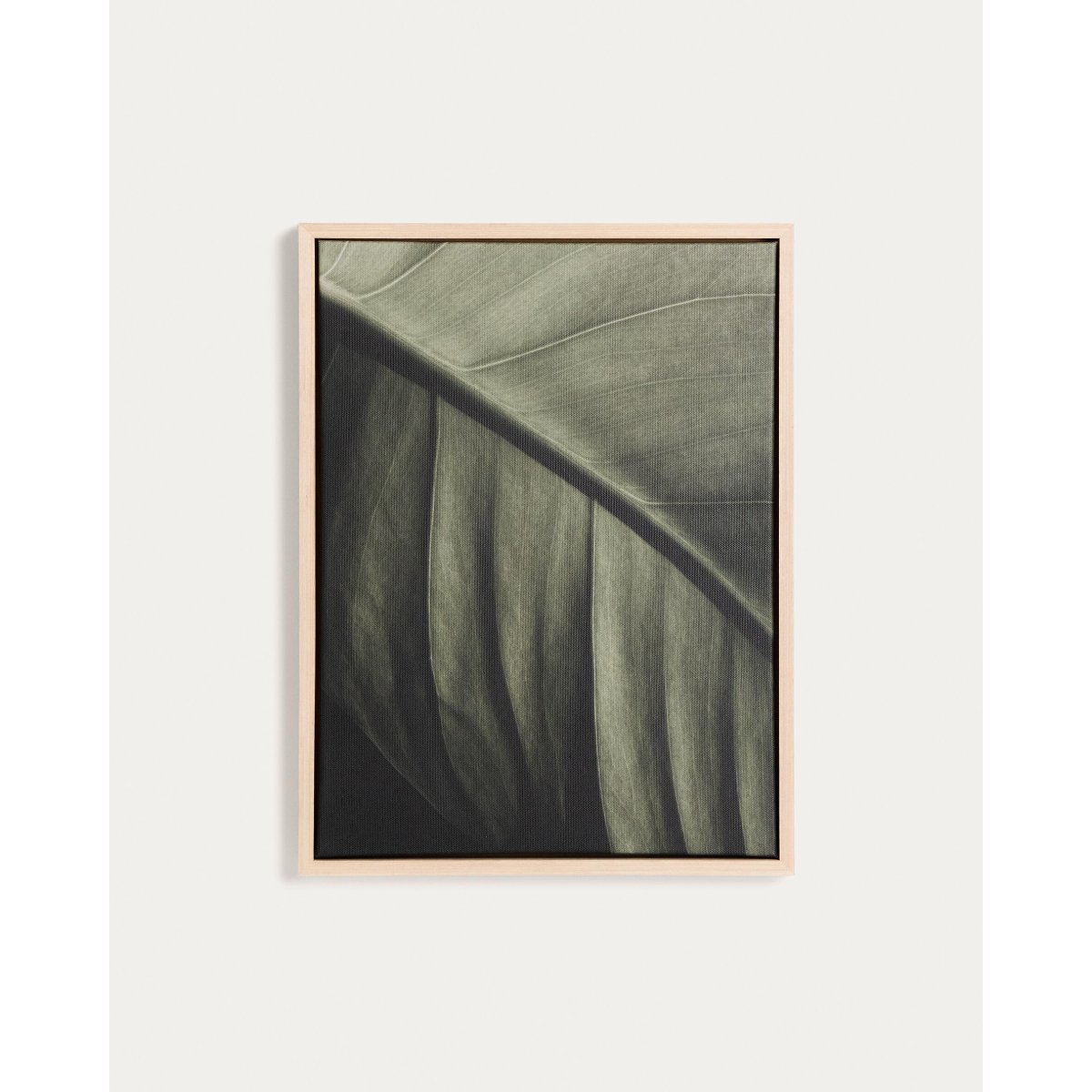Foliae leaf photograph picture 32.5 x 42.5cm