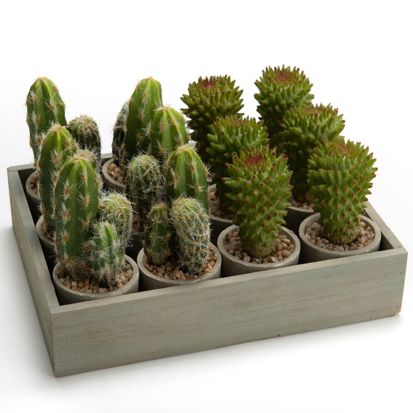 DISCH CACTUS EPINE RED H27 VE