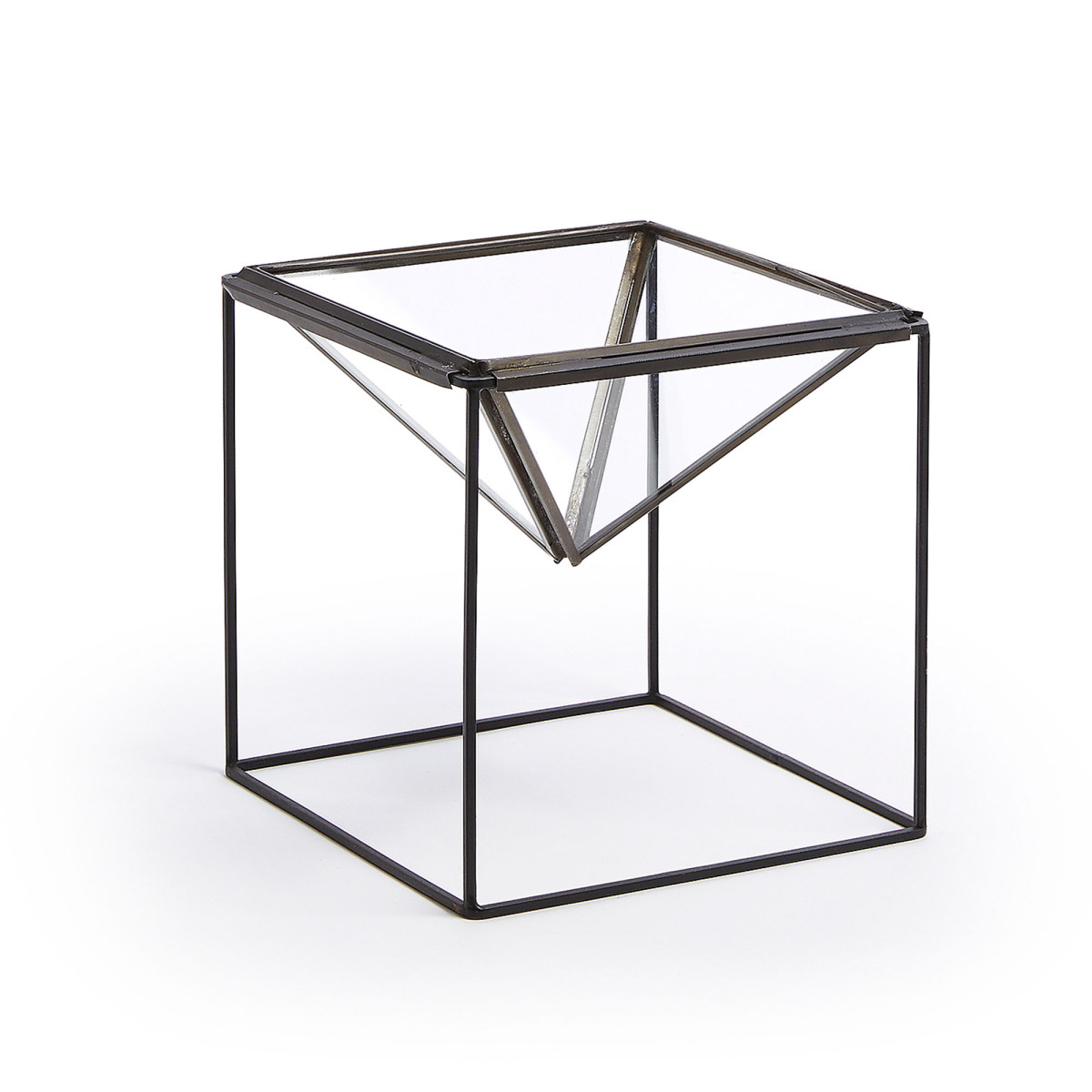 TERRARIUM ines