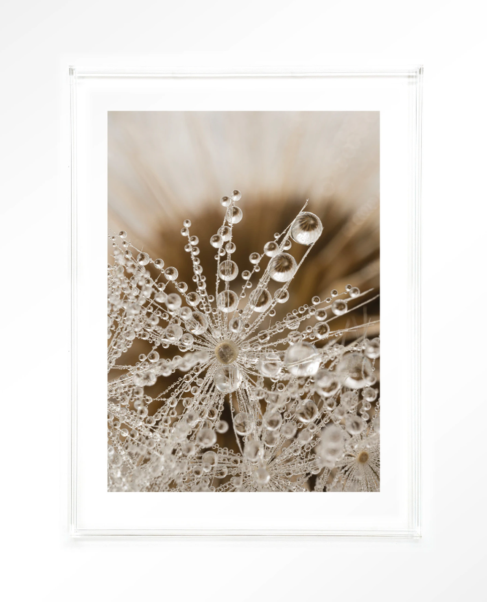 Rural Nature Acrylic frame 50x70 cm - clear