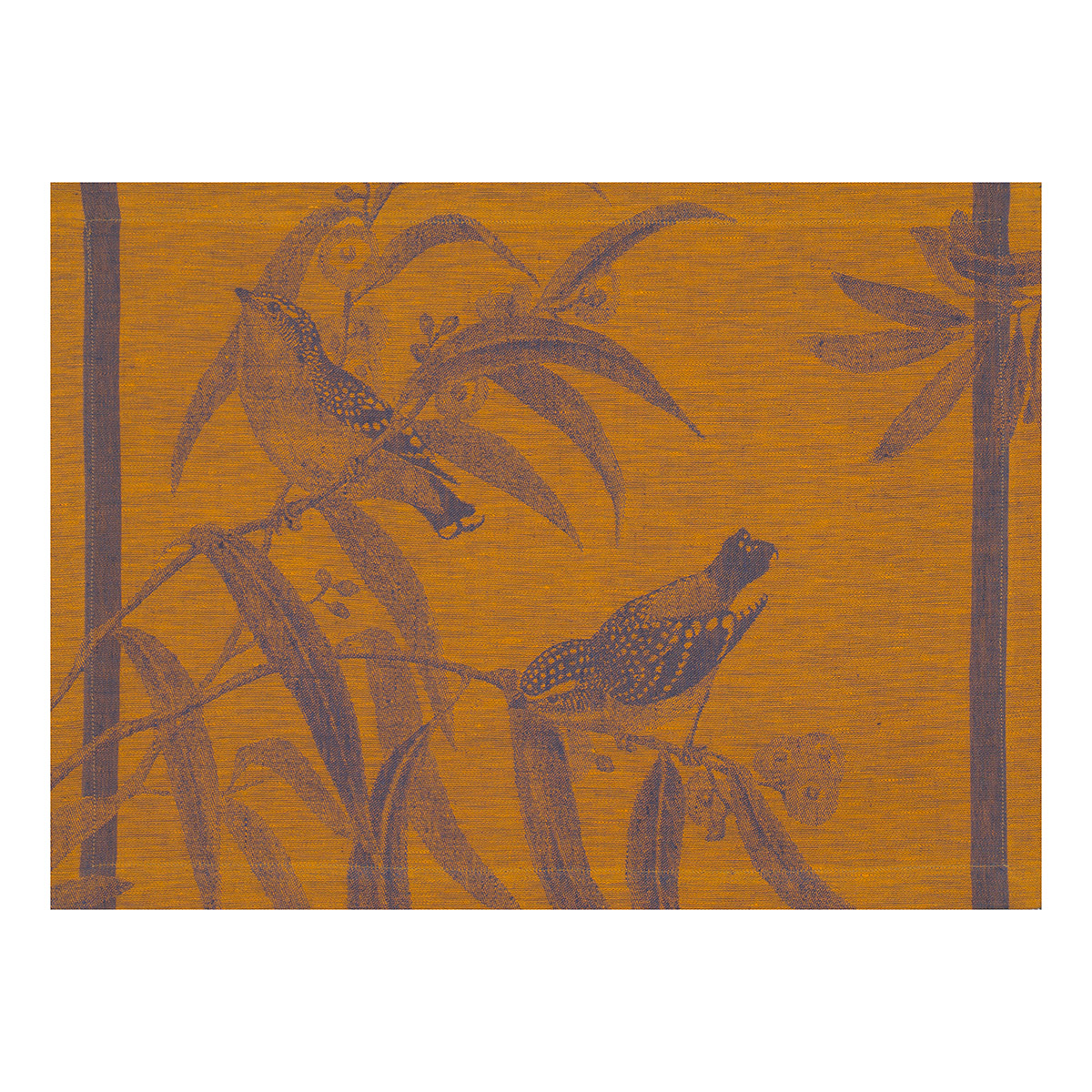 SET 50X36 VOLIERE NOCTURNE LIN