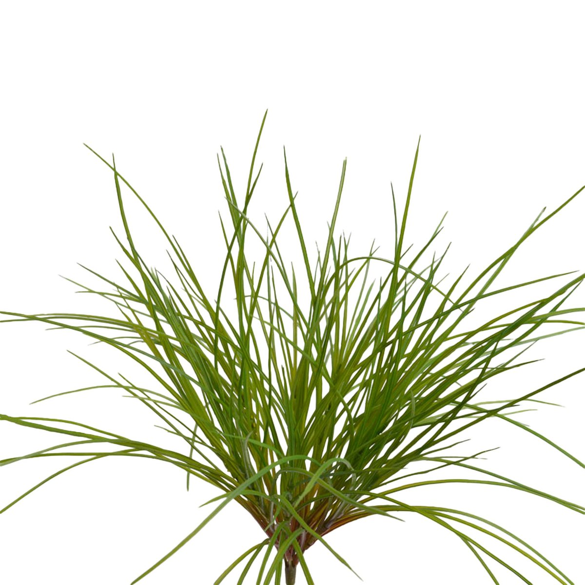 GARDEN GRASS PICK H51 GR