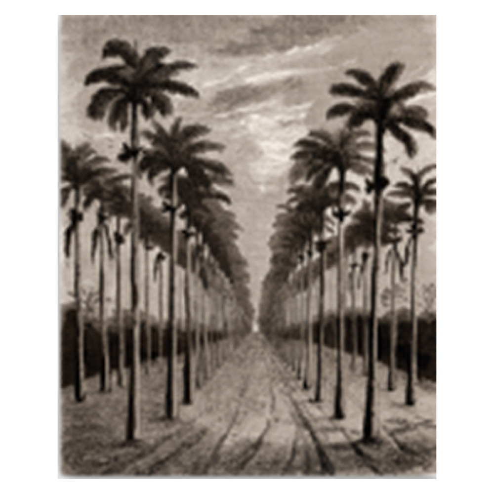 VINYL MURAL Exotic Travel No 4 Fresque Murale 180x220cm