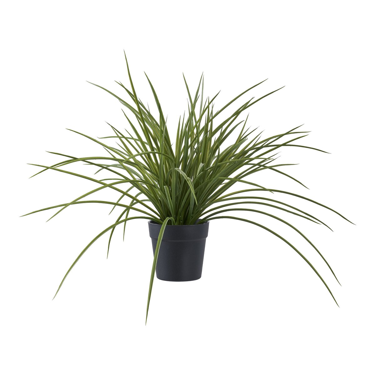 9501004 Grass