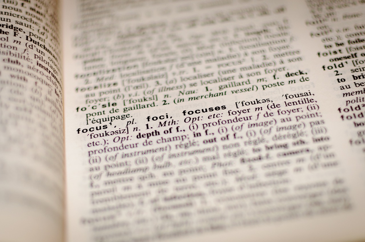DICTIONNAIRES