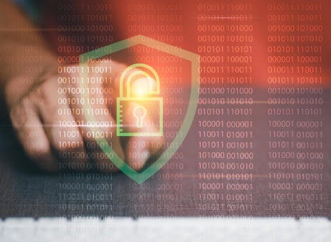 Advanced Penetration Testing & Bug Bounty Hunting